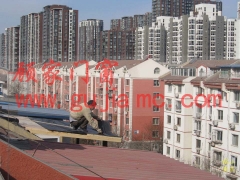 ����ꖹⷿ��Ҕ����X�T��ꖹ�