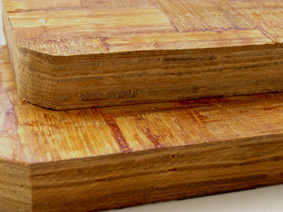 �h����_�x��֮���z��