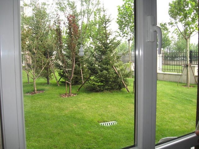 �����X�T���x���п�Low-E����